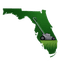 Florida Lawn Network Logo